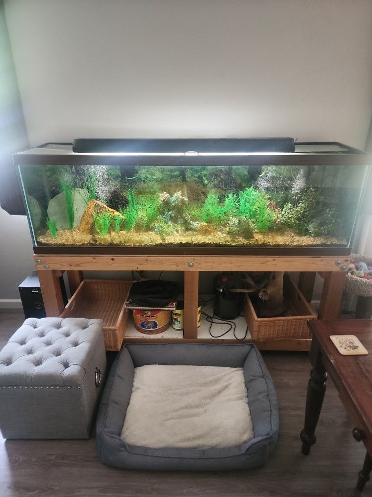 125 Gallon Aquarium 