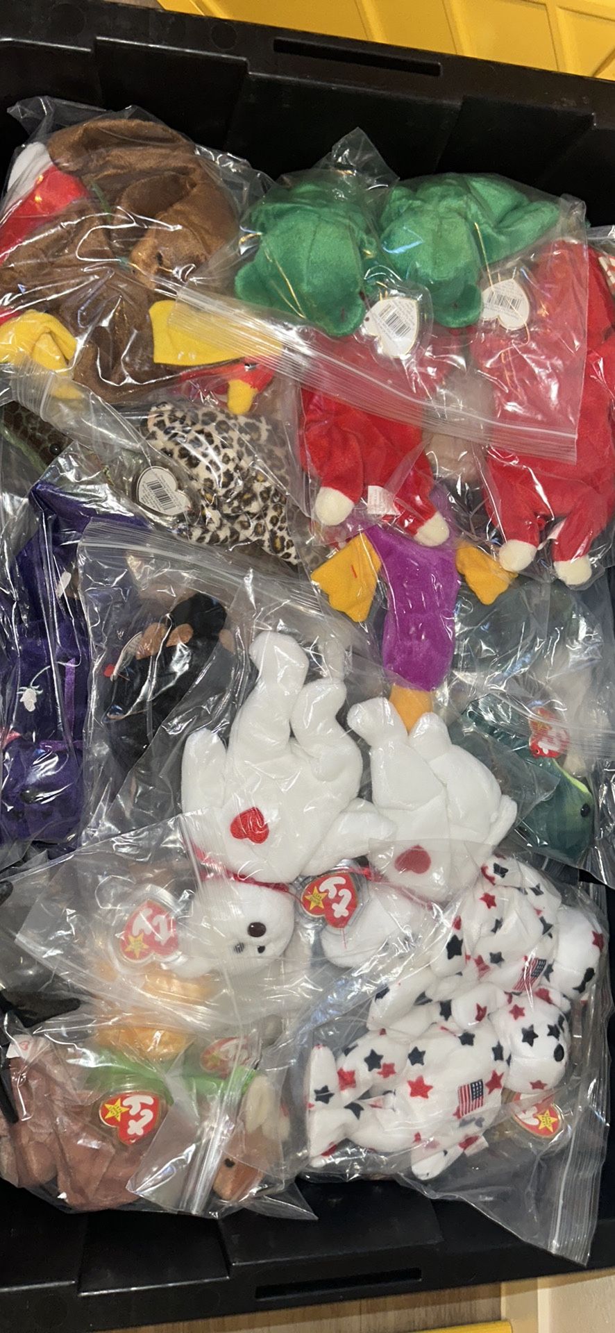 Beanie Baby Collection