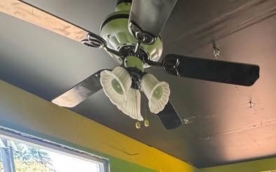 Whimsical 3-bulb fan light