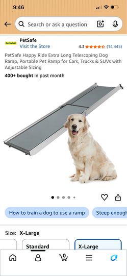 Pet Safe Ramp