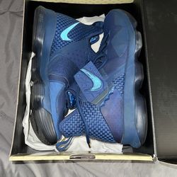 Lebron Shoes 