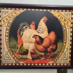 Fancy Fowl And Royal Rooster