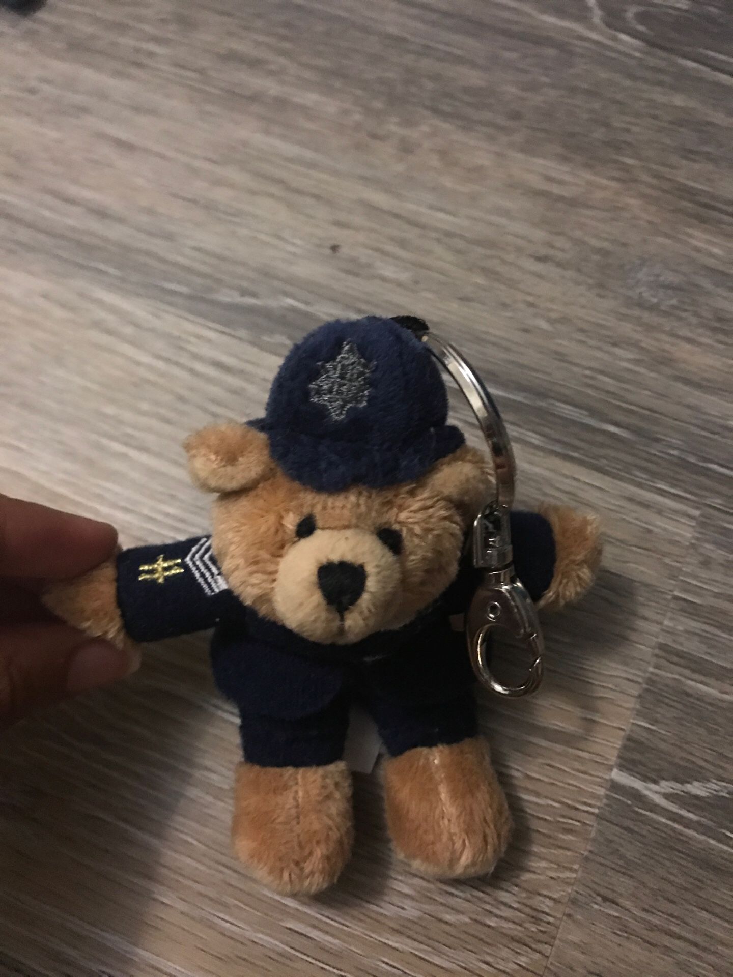 Teddy bear key chain