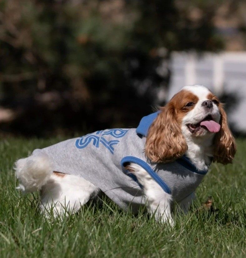 Vibrant Life Pet Apparel Tshirt