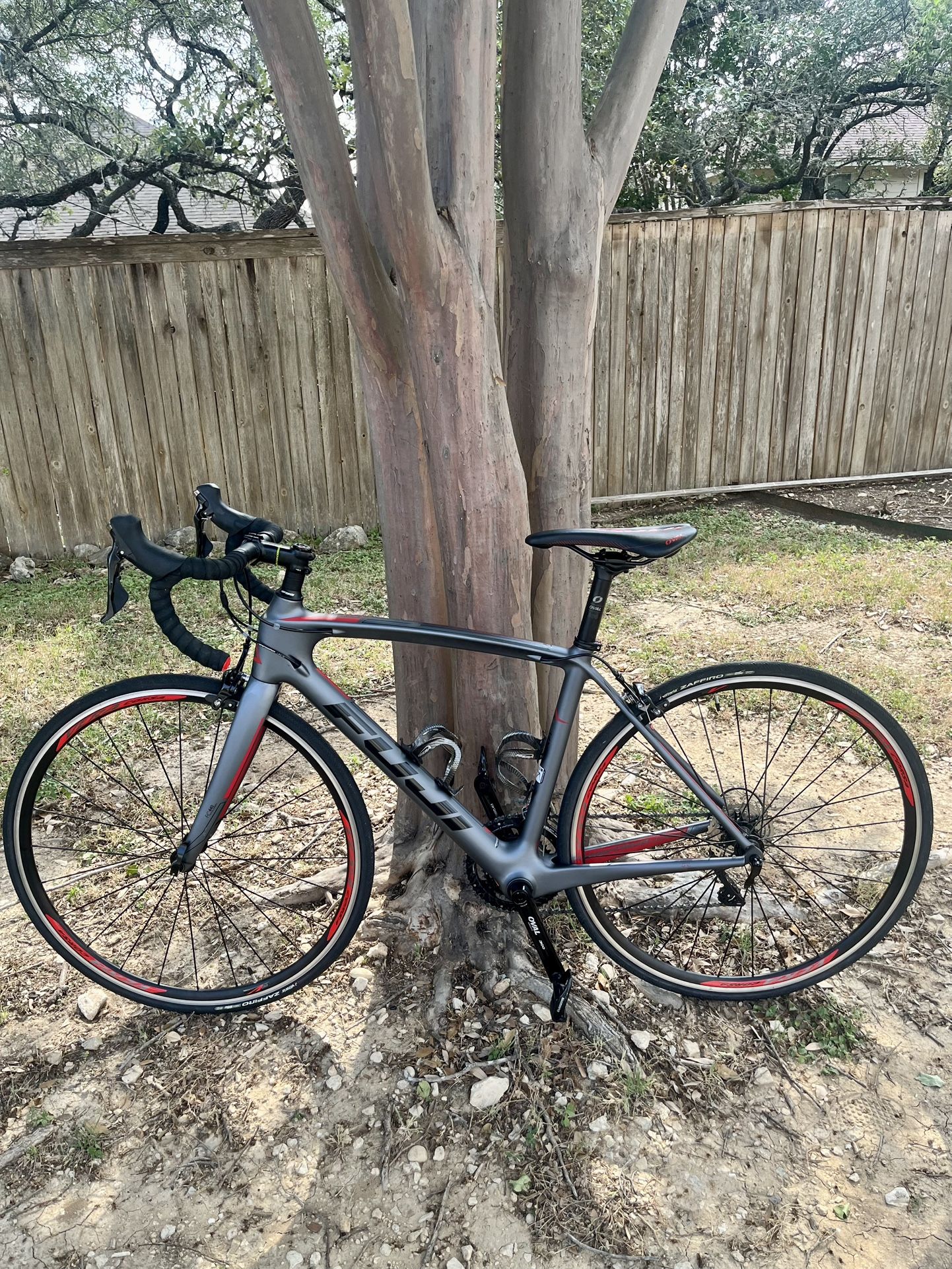 Fuji Road Bike