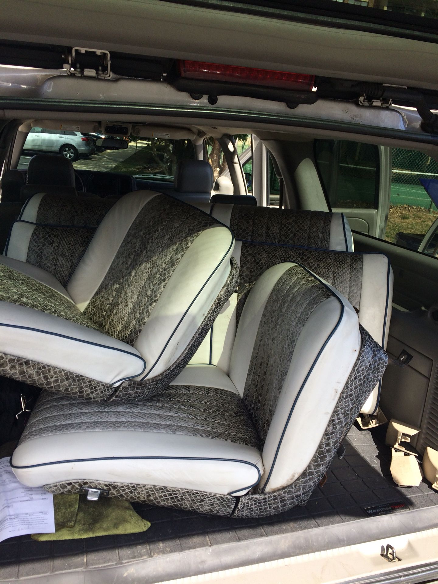 Leather seats boa constrictor snakeskin