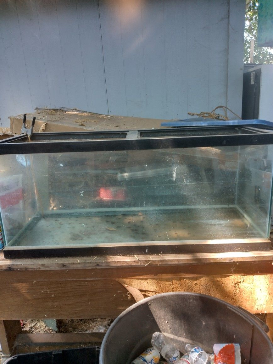 75 Gallon Fish Tank 
