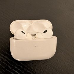 Apple Ear Buds 