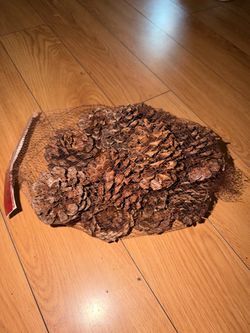 Natural Pine Cones in Net Bag