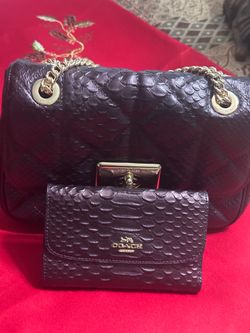 AUTHENTIC Coach Handbag and Pocket