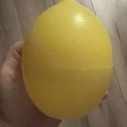 lemon food saver