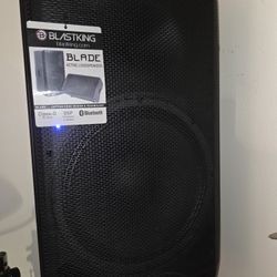 Professional DJ Speaker 