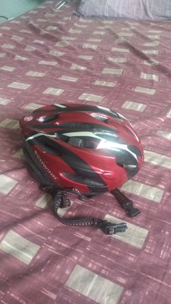 Schwinn helmet