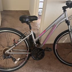 Schwinn Purple Grey Bike