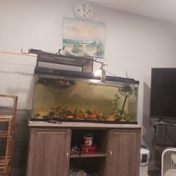Used Fish Tank With Fish Filter All The Insides The Decorations Everything $90 Or  