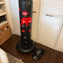 KIDS PUNCHING BAG WITH GLOVES