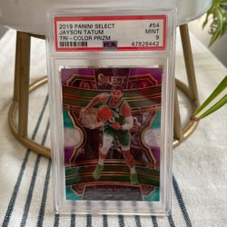 Jason Tatum Tri-color