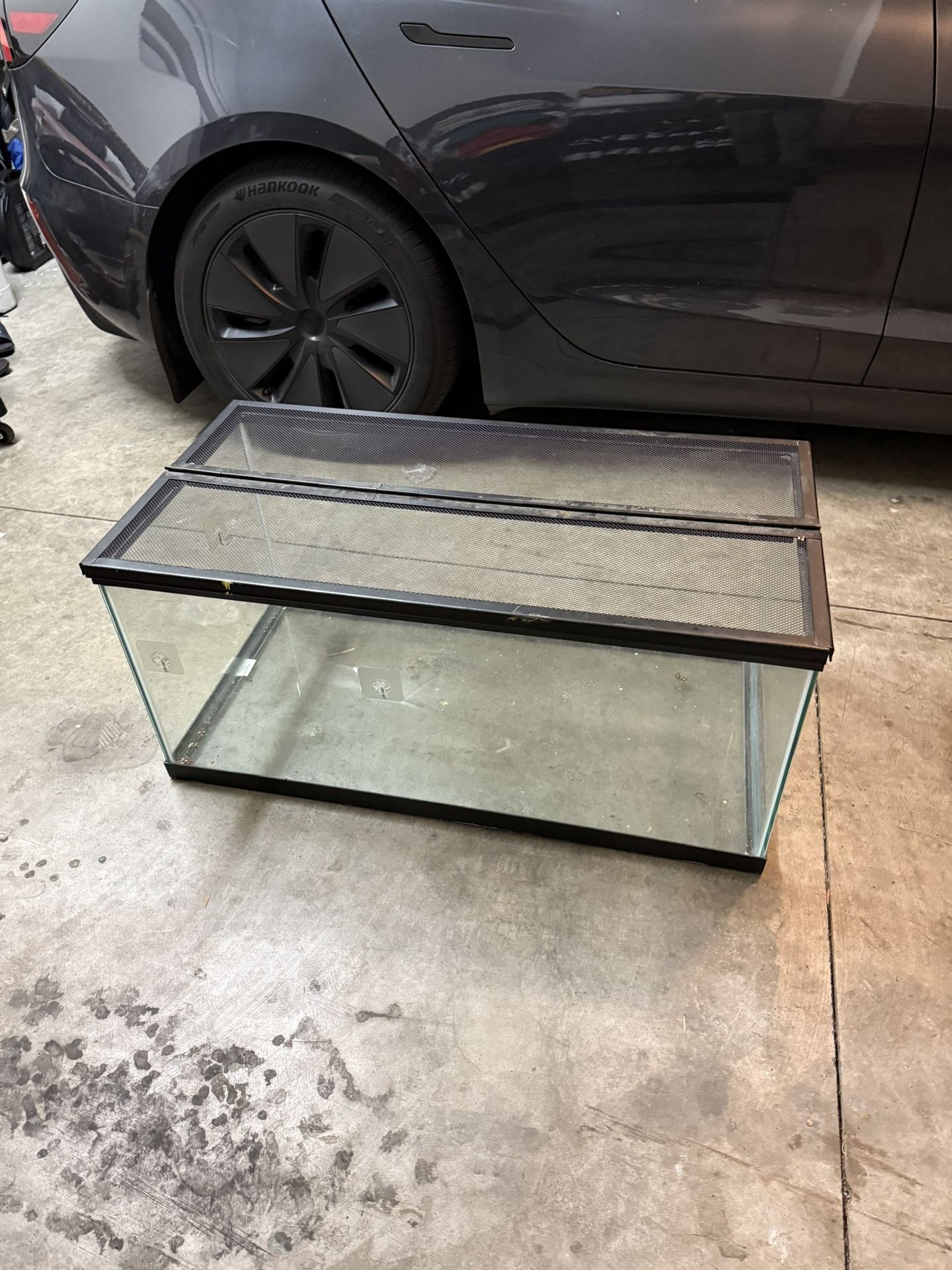 Fish Tank