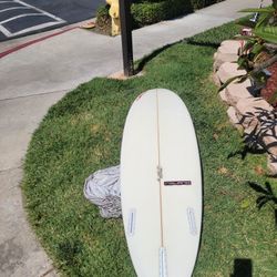 6-6 Roland Pintail