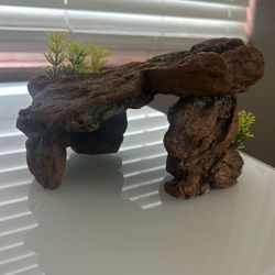 Aquarium Decore