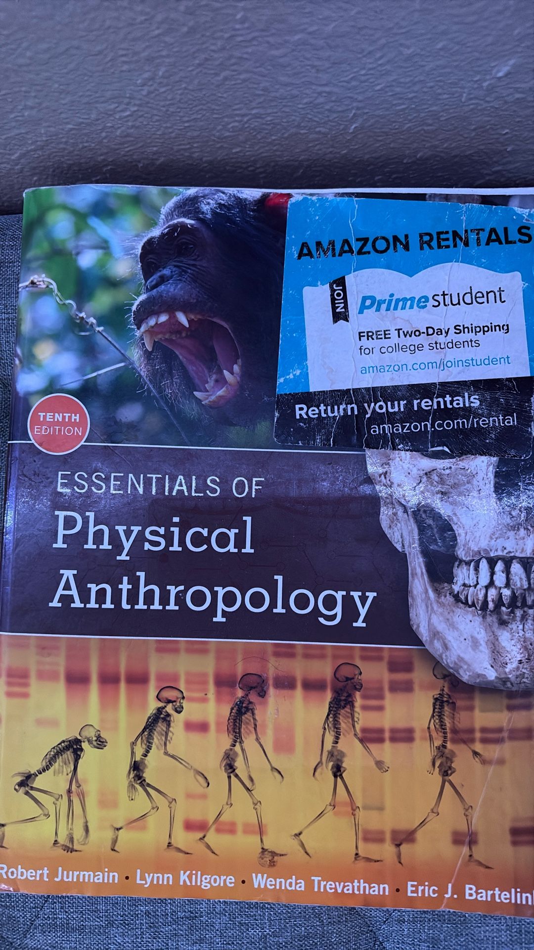Essentials Of Physical Anthropology 