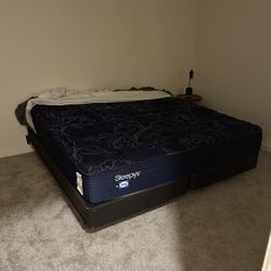 Sealy Spring Mattress