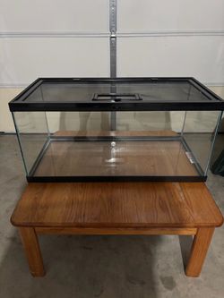 40 gallon reptile tank