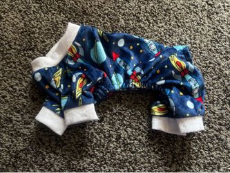 Boy dog clothes