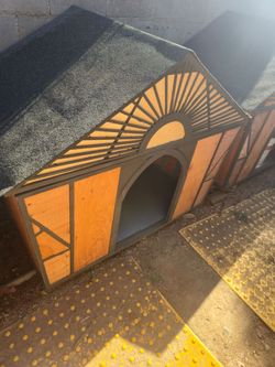 Large dog house