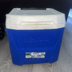 Igloo Cooler 