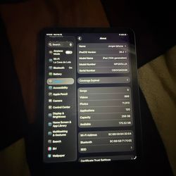 iPad 10th generation