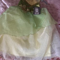 Tiana Disney Costume