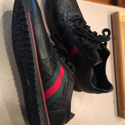 Gucci Web Sneakers