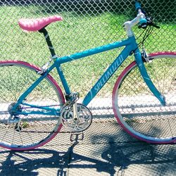 Specialized Vita Hybrid Bicycle 