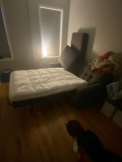 🌟FREE🌟 sofa bed futon