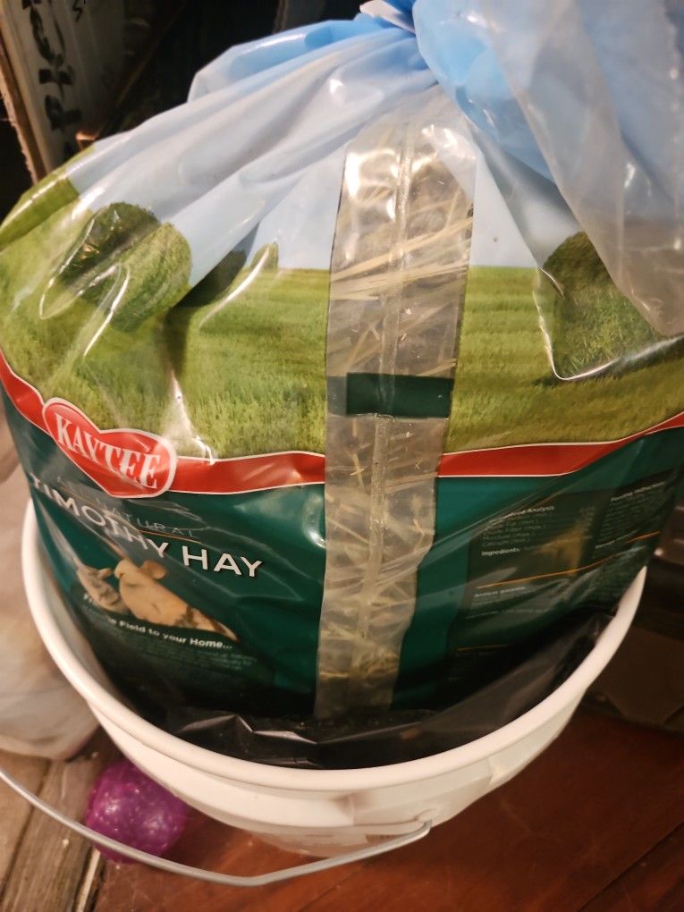 Bunny Cages And Food And Other Stuff