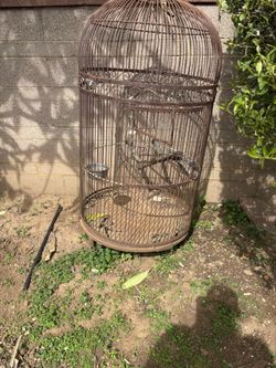 Large Metal Bird Cage