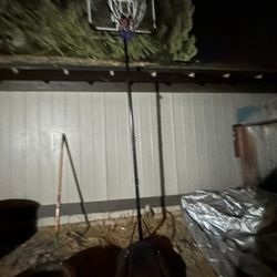 Basketball Hood
