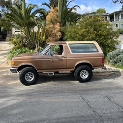 1991 ford bronco 4 x 4, Eddie Bauer edition