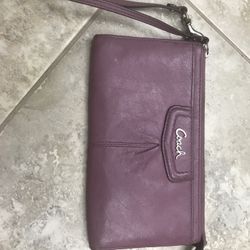 Cute coach clutch