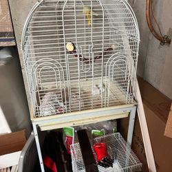  bird cage