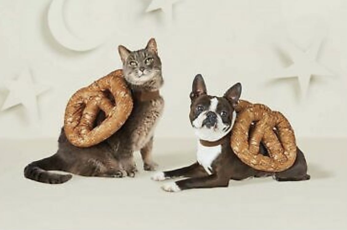 Halloween Pet Pretzel Costume