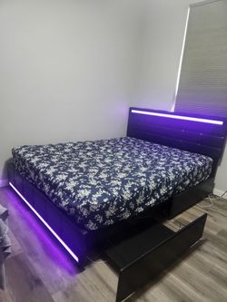 Queen bed for sale