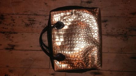 Ipad bags or bible bags