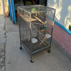 Bird Cage