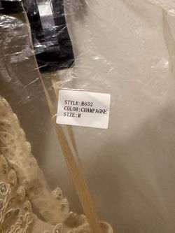 Champagne Lace knee length dress/Size M