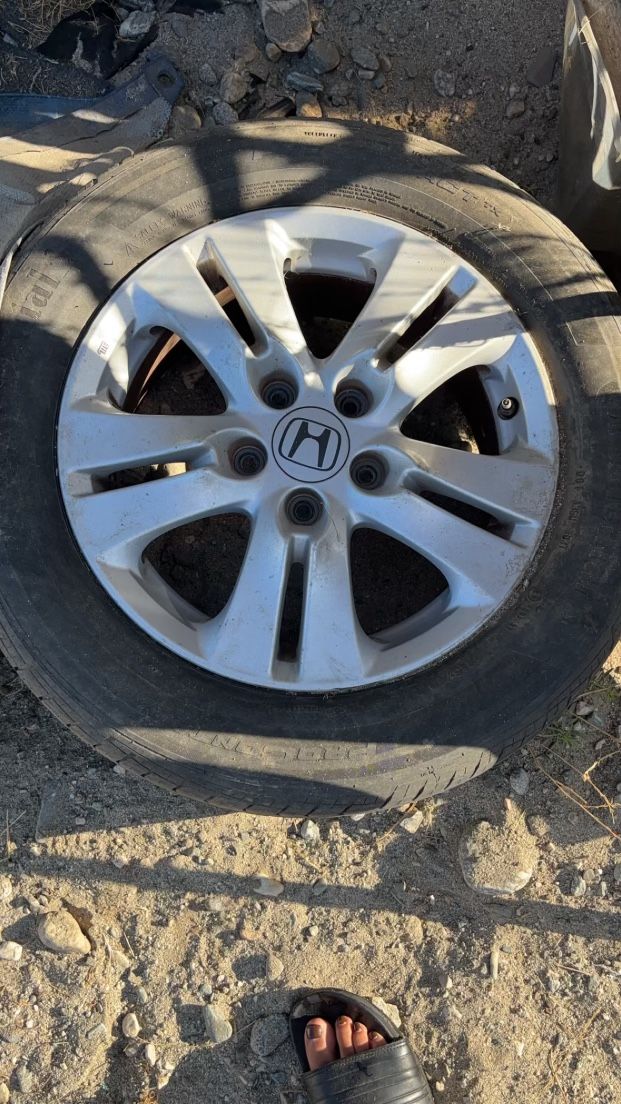 Honda Accord  Rim 