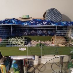 Cage For Guinea Pig