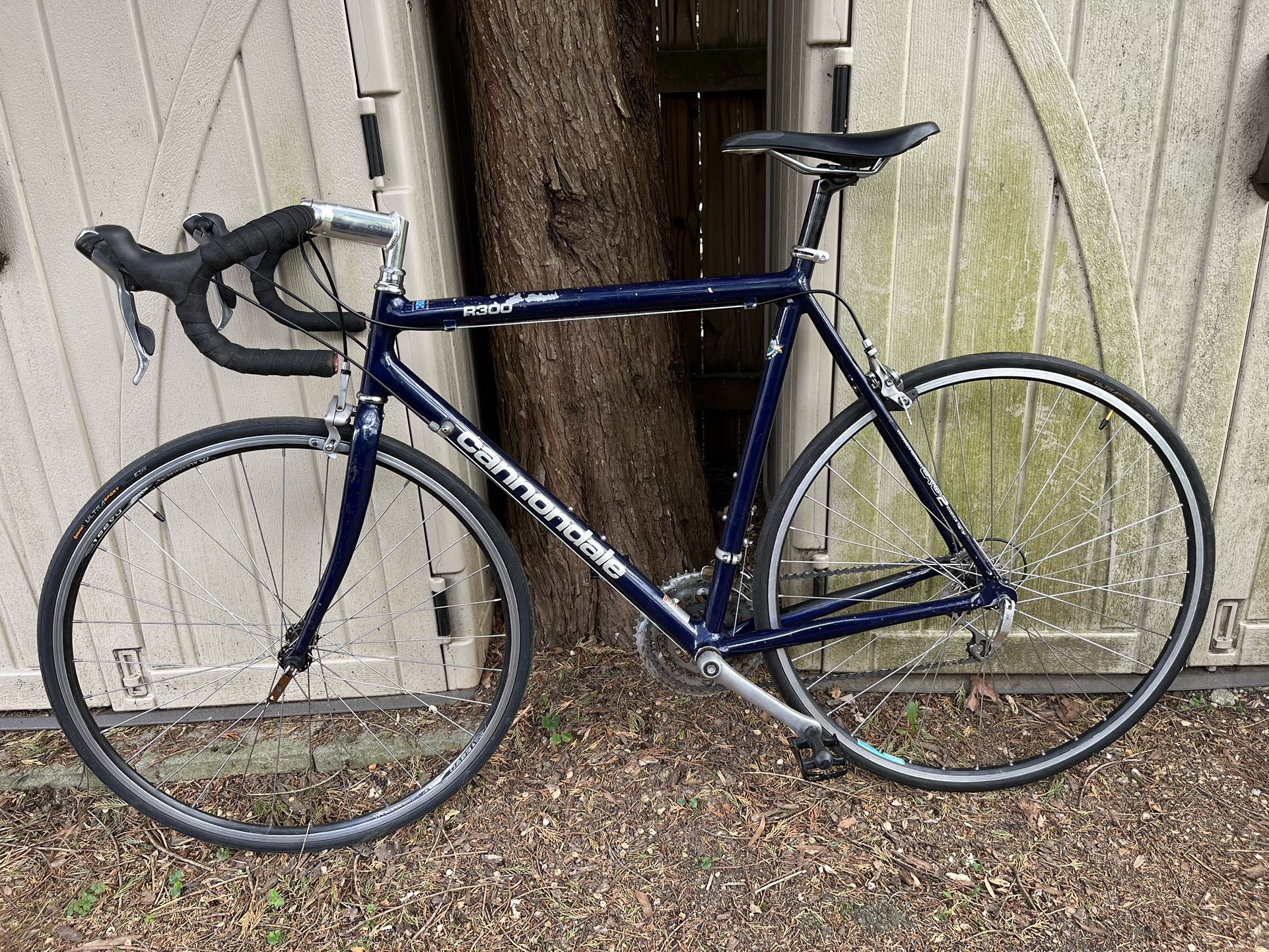 Cannondale 57cm Road Bike