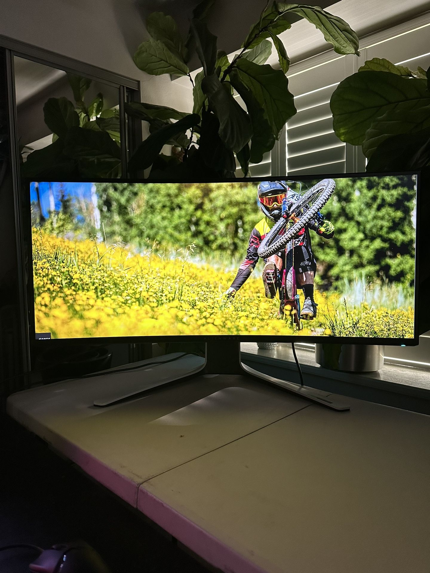 Alienware 38 Curved Gaming Monitor